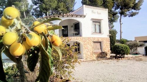 pinomar, Teulada (foto 2)