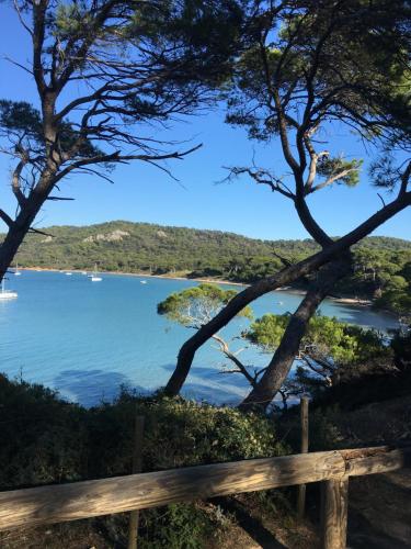 Le Surplage Hôtel 47 Avenue Du Lavant 83400 Hyères