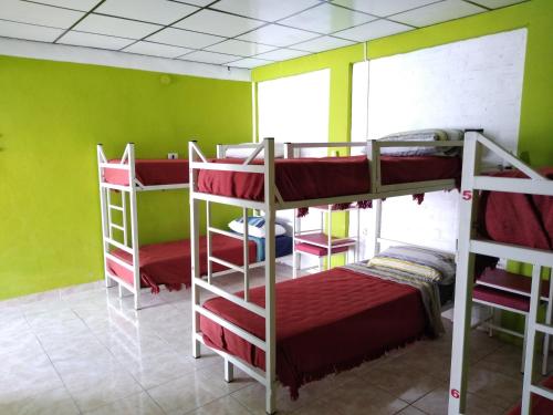 Hostel Richieri