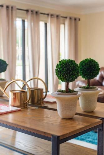 two green vases sitting on top of a wooden table, ***The Cozy House 2*** in Tampa (FL)