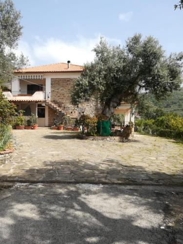 IL CONTE DI MARRAONE - Accommodation - Agnone