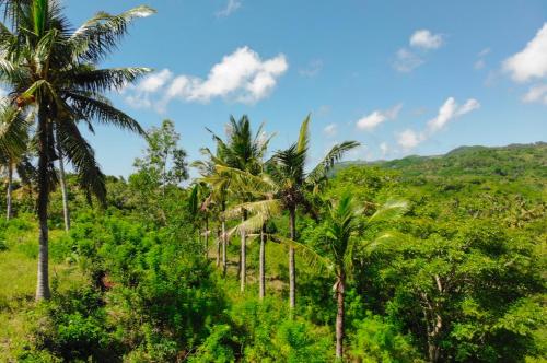 Batang Golden Hills