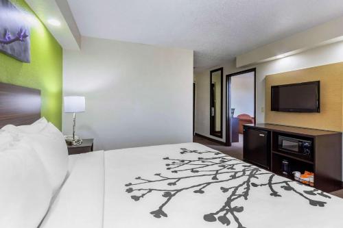 Sleep Inn near Busch Gardens - USF