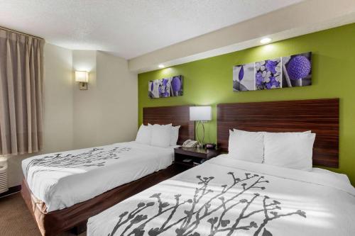 Sleep Inn Near Busch Gardens/USF