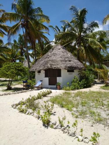Viesnīcas āriene, Kilwa Beach Lodge in Kilwa Masoko