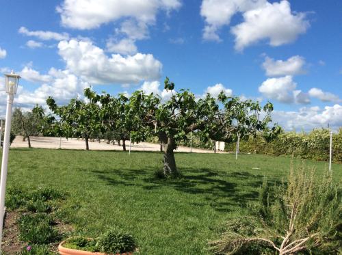  LA MASSARÌA agriresort, Orta Nova bei San Ferdinando di Puglia