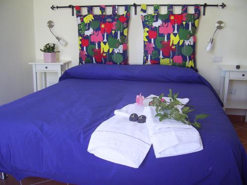 Casa Falcone B&B - Accommodation - Scala