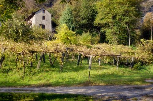 Viesnīcas āriene, Pensione Boschetto in Cevio