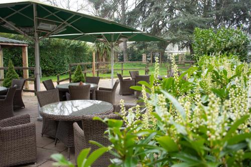 A szálláshely kívülről, The Coach House Suffolk in Lowestoft