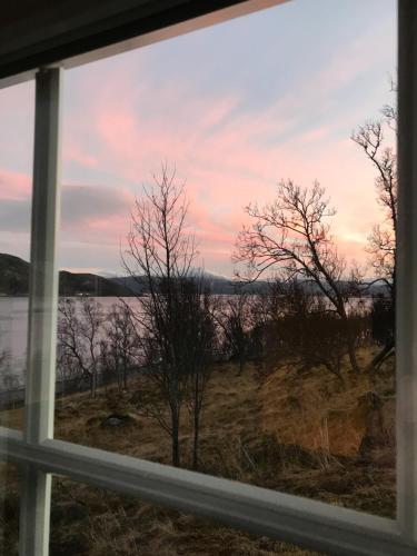 View, Kvaløya Lodge in Kvaloysletta