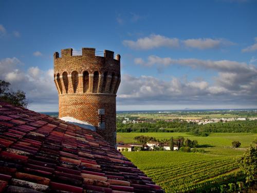 Castello di Buttrio - image 4