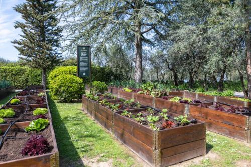 Villa I Barronci Resort & Spa - image 12