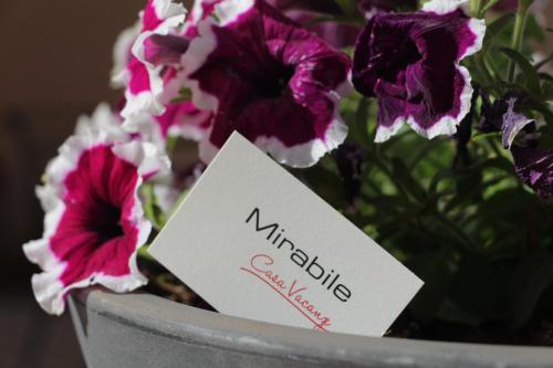  Casa Vacanze Mirabile in Marsala