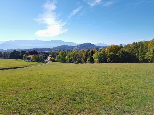 A környék, Paola paradise in Servion