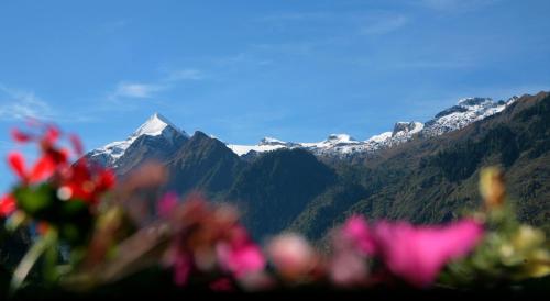 View, Pension Katharinenhof in Kaprun