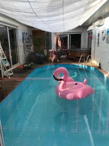 Le Clos Des Ecureuils photo 22