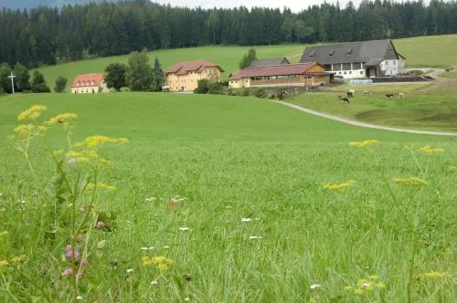 Ferienhaus Wohleser in Mariahof, Österreich
