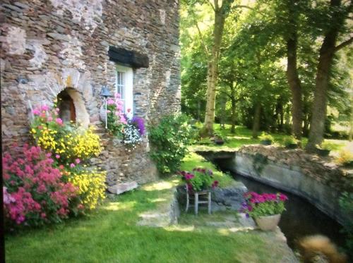 Le moulin de la Castellerie - Chambre d'hôtes - Moon-sur-Elle