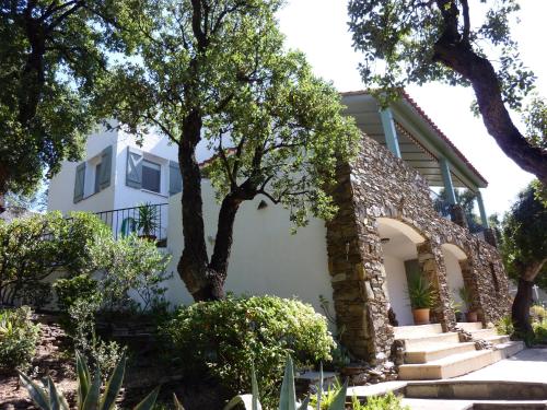 Les mimosas - Location, gîte - Collioure