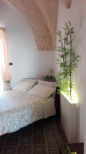 B&B del Corso - image 6
