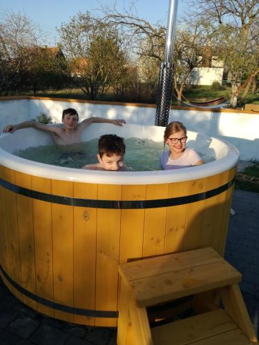 Willa Wanda - duży ogród z hot-tube i sauna