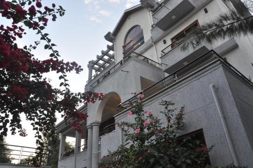 Inn of the Four Sisters in Gondar