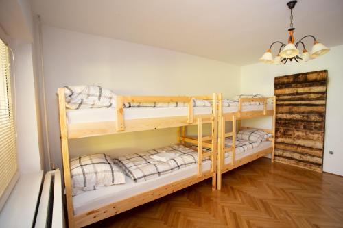 Bed in 6-Bed Dormitory Room