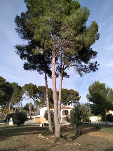 pinomar, Teulada (foto 4)