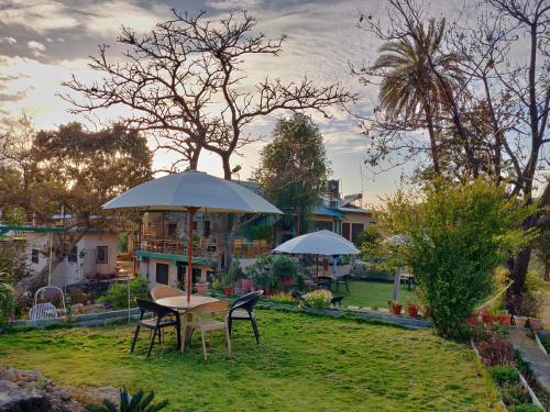 B&B Mount Abu - Forest Eco Lodge - Bed and Breakfast Mount Abu