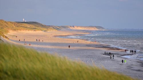 Hvide Sande Beach Apartments - image 10