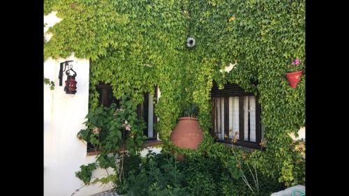 Hotel Rural las Cinco Ranas - image 7