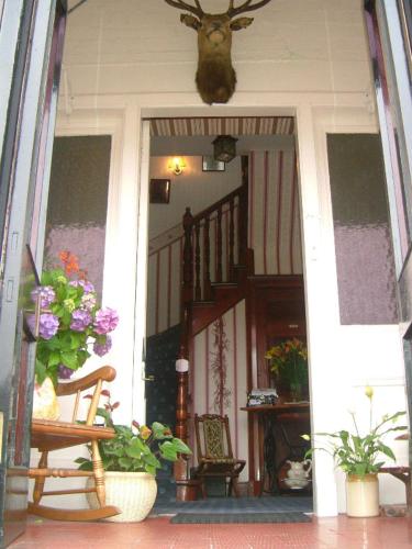 Gowan Brae Bed & Breakfast - Accommodation - Fort William