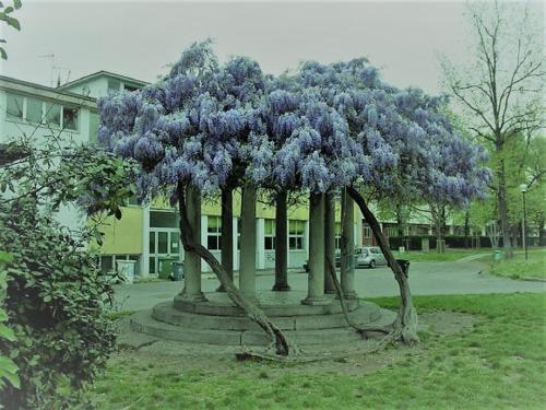 Studio Luna Apartments, Milán (fotografie 6)