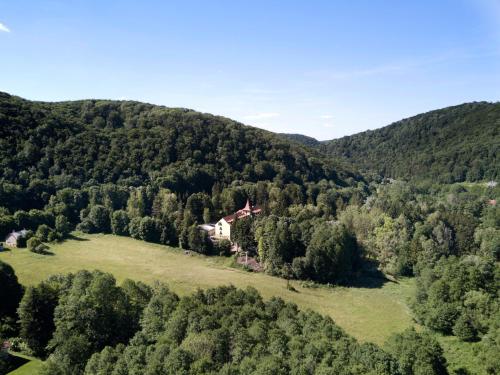 Bakony Hotel - image 12