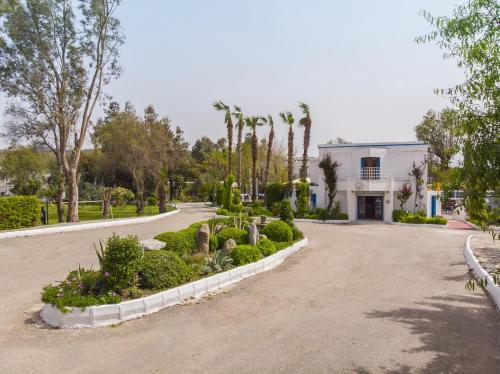 Club Muskebi - image 3