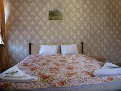 Sheremetyevo Express - image 7