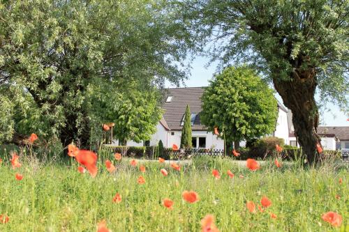 Pension Jägerrast (Pension Jagerrast) in Boek