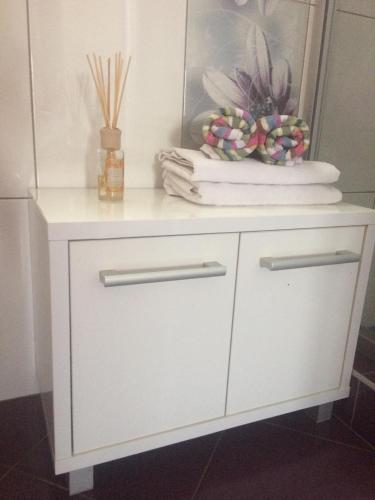  Apartment in Nin with Terrace, Air condition, WIFI (4732-3) in Nin
