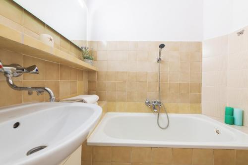 One-Bedroom Apartment image 10