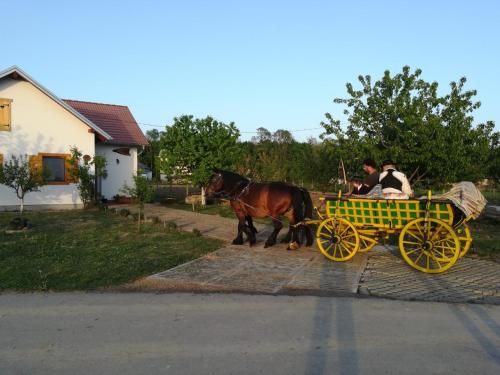 KUĆA ZA ODMOR "DVA SRCA"