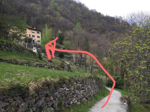 Casa immersa nel vigneto in Roveredo