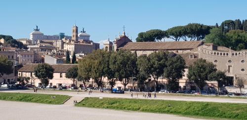 Mia Suites - image 6