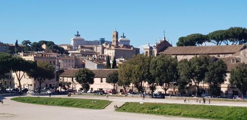 Mia Suites - image 13