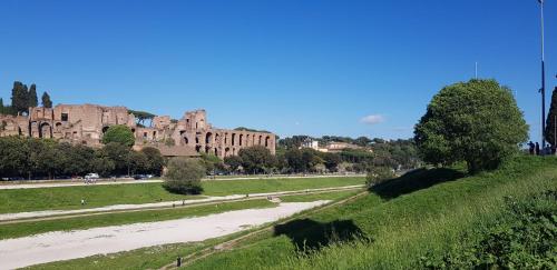 Mia Suites - image 5