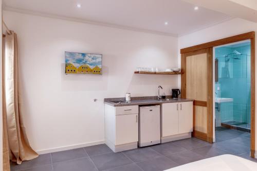 Kitchen, Art Hotel in Kralendijk