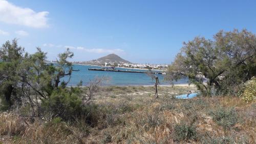 chez irene sweet pension, Pension in Naxos Chora