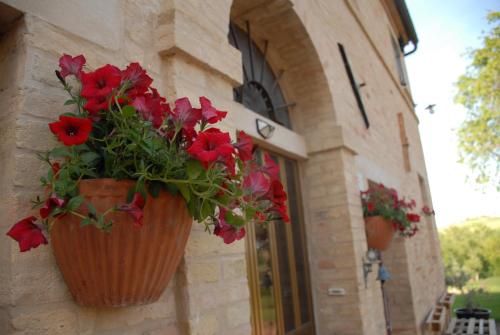  Fattoria Nonno Neno B&B in Appignano