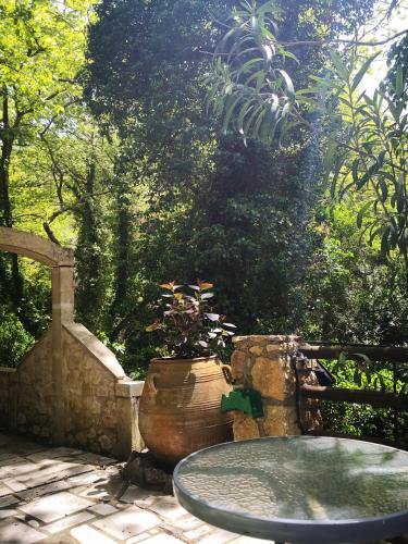  River Paradise in Ayía Pelayía