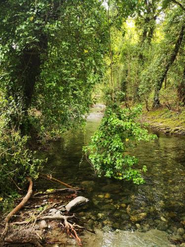  River Paradise in Ayía Pelayía
