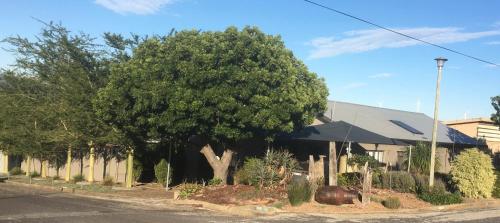 Ammabed Accommodation Ammabed Accommodation